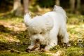 Timba_2013_08-038