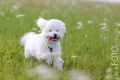 Timba_2013_08-048