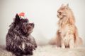 Anger_Studio_2013_11-042