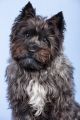 Anger_Studio_2013_11-070