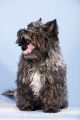 Anger_Studio_2013_11-075