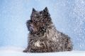 Anger_Studio_2013_11-081