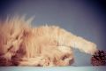 Anger_Studio_2013_11-129