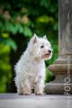UT_Herrenhaeuser_2014_05-011