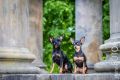 UT_Herrenhaeuser_2014_05-024