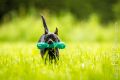 UT_Herrenhaeuser_2014_05-047