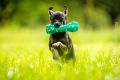 UT_Herrenhaeuser_2014_05-053