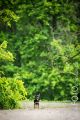 UT_Herrenhaeuser_2014_05-066