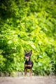 UT_Herrenhaeuser_2014_05-073