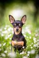 UT_Herrenhaeuser_2014_05-092