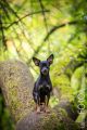 UT_Herrenhaeuser_2014_05-100