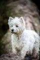 UT_Herrenhaeuser_2014_05-101