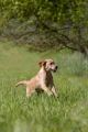 Lana_2014_05-007