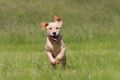 Lana_2014_05-027