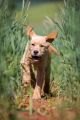 Lana_2014_05-064
