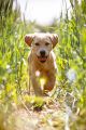 Lana_2014_05-070