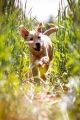 Lana_2014_05-074