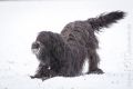 Stemler_2014_12-034