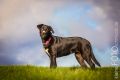 Loppa_2014_12-010