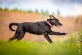 Loppa_2014_12-023