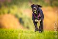 Loppa_2014_12-025