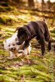 Loppa_2014_12-074