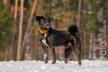 Stemler_2014_12-198
