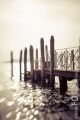 Venedig_2014_12-090