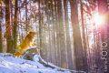 Miro_Milka_Schnee_2014_12-114-507