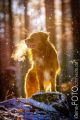 Miro_Milka_Schnee_2014_12-122-511