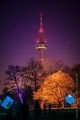 Winterlichter_Luisenpark_2015_02-011
