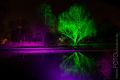 Winterlichter_Luisenpark_2015_02-027