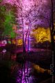 Winterlichter_Luisenpark_2015_02-038