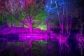 Winterlichter_Luisenpark_2015_02-042