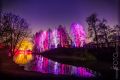 Winterlichter_Luisenpark_2015_02-046