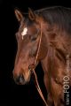 Haessel_Studio_2013_11-013