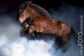 Nacht_Nebel2_06_04_2012_051-46