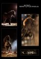 Gaefa_Collage