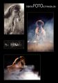 Skrimir_Collage