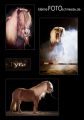 Tyra_Collage