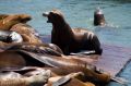 Amerika_2010_08_170