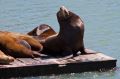Amerika_2010_08_171