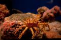 Amerika_2010_08_235
