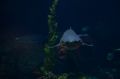Amerika_2010_08_236