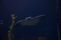 Amerika_2010_08_238