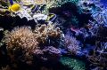 Amerika_2010_08_296