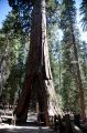 Amerika_2010_08_347-1