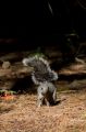 Amerika_2010_08_375-1