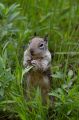 Amerika_2010_08_448-1