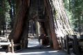 Amerika_2010_08_353-1